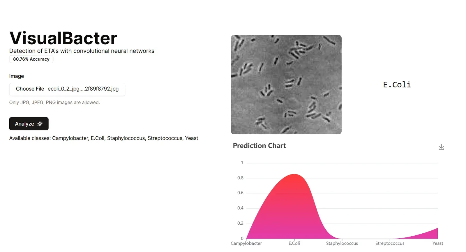 VisualBacter